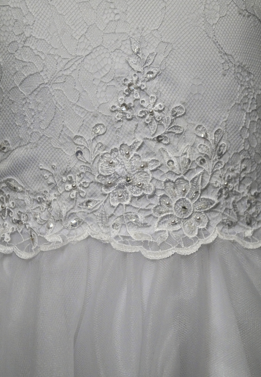 Short Sleeve Lace Bodice with Tulle Skirt Dress