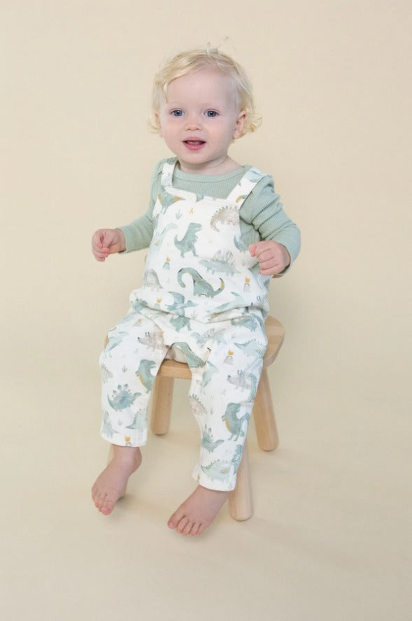 2pc Green Dino Overall w Bodysuit *