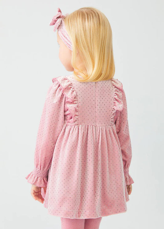 Rose Velvet Glitter Swiss Dot Dress