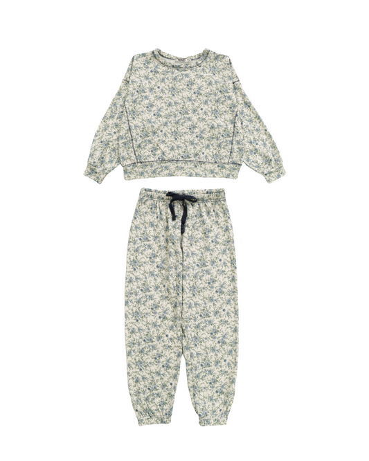 girls floral set, kids 2 piece outfit, girls jogger pant set, boutique girls loungewear, floral matching set for kids, trendy girls casual outfit, girls floral sweatsuit, boutique girls clothing set, girls comfy floral outfit, children’s boutique co-ord set