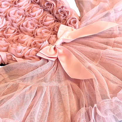Dusty Pink Tutu Dress