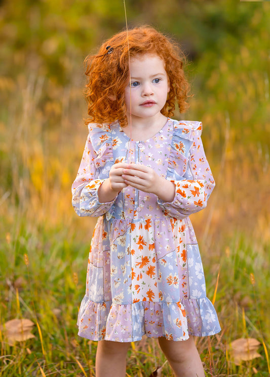 Multi Chiffon Dress