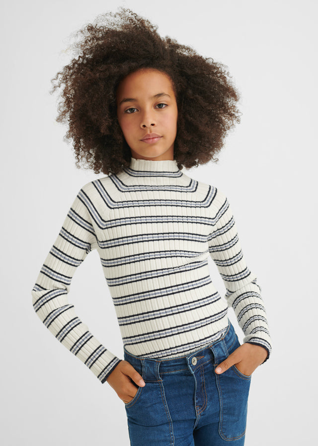 Navy Stripe Turtleneck