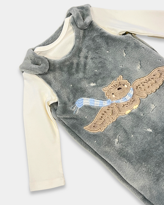baby boy owl jumpsuit set, gray velour baby outfit, boutique infant 2pc set, owl embroidered baby romper, baby winter outfit set, soft velour baby clothing, Expressions Boutique NY baby clothes, baby boy animal appliqué jumpsuit, cozy baby outfit set, newborn boy boutique clothing