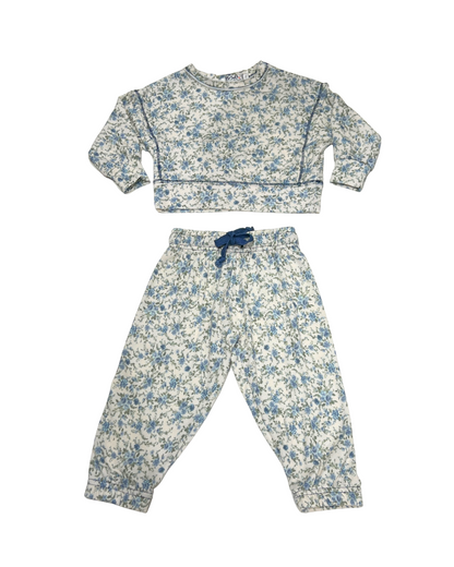 girls floral set, kids 2 piece outfit, girls jogger pant set, boutique girls loungewear, floral matching set for kids, trendy girls casual outfit, girls floral sweatsuit, boutique girls clothing set, girls comfy floral outfit, children’s boutique co-ord set
