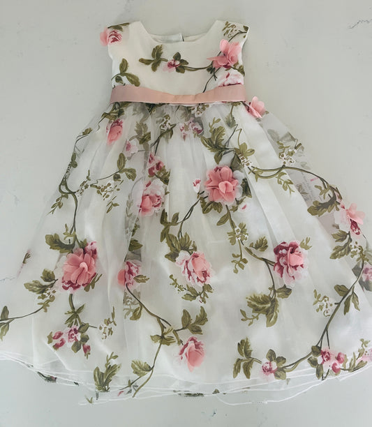 Blush Flutter 3D Rose Dress