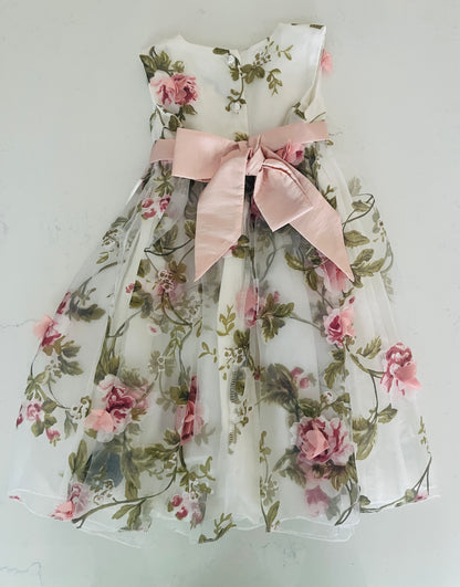 Blush Flutter 3D Rose Dress