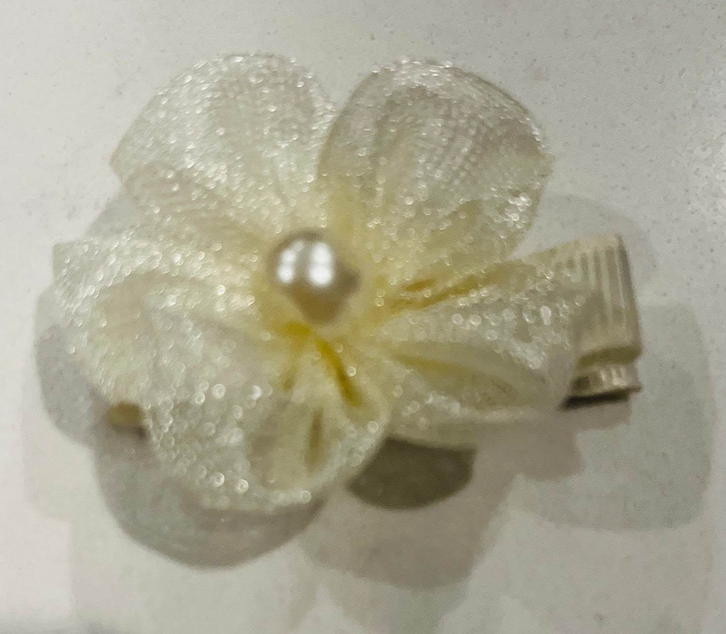 TS Hair Clips - 4