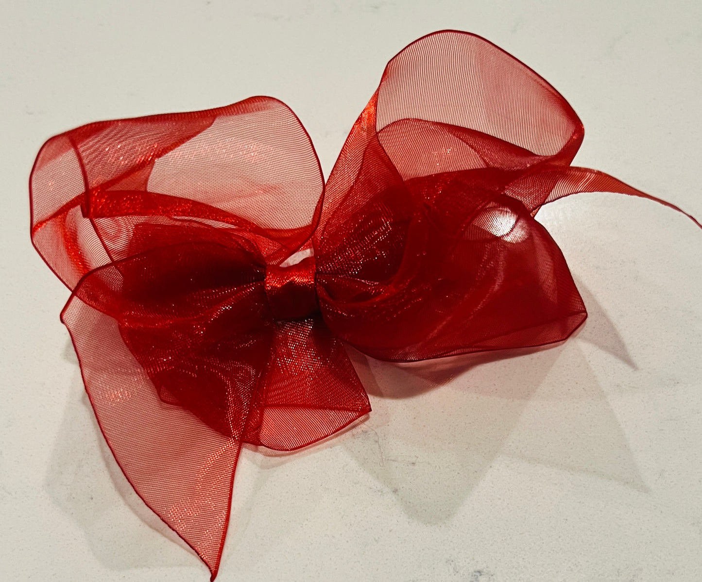 Bows Arts Large Organza Bow 5" Assorted Colors