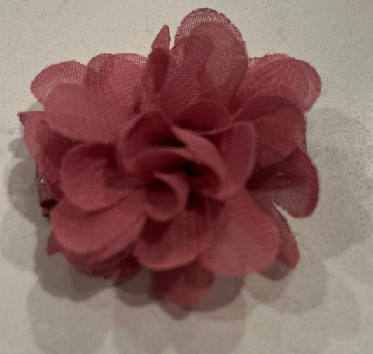 TS Hair Clips - 2