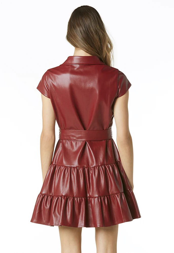 Cabernet Viola Vegan Leather Dress