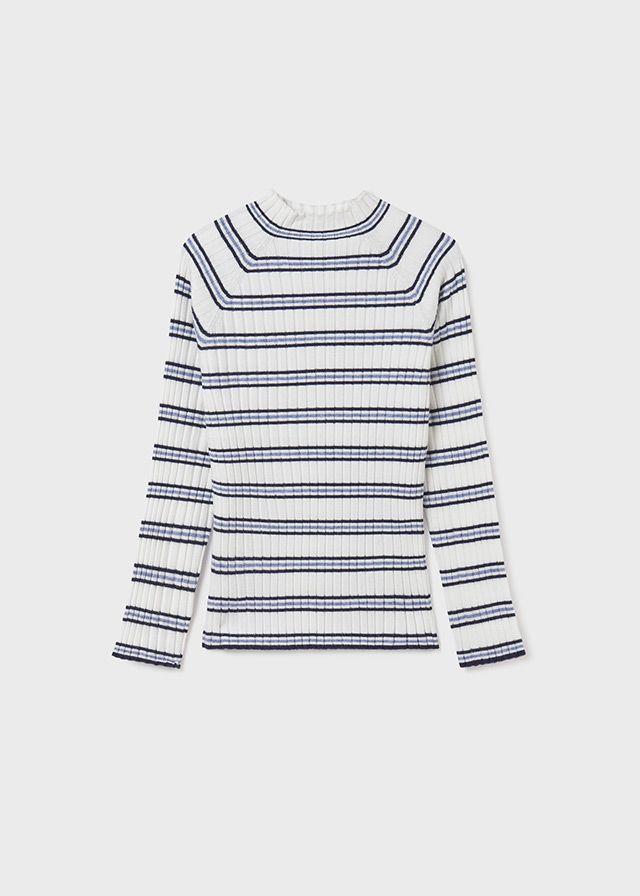 Navy Stripe Turtleneck