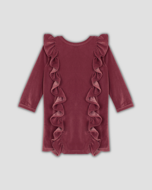 Red Sugar Plum Velvet Dress